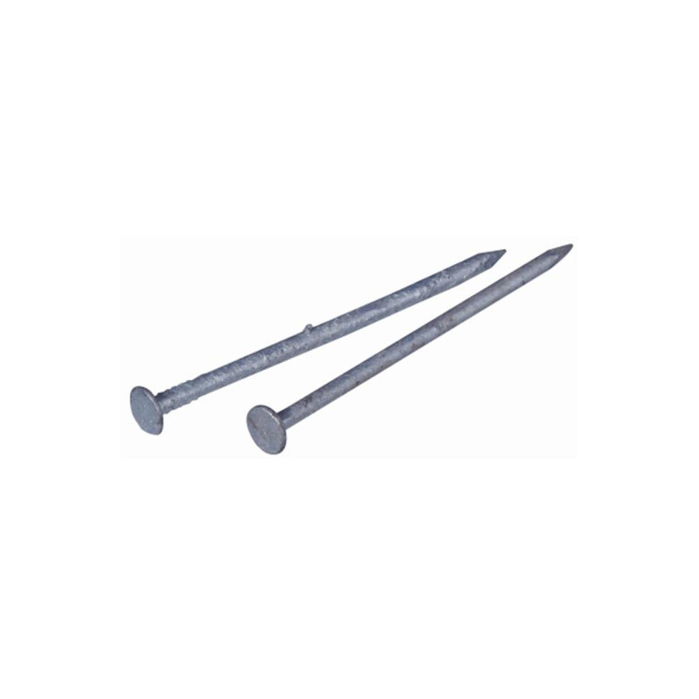 461281 2.5 In. 8D Galvanized Common Nail 723902272770