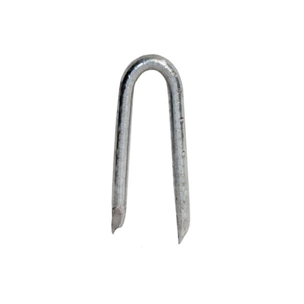 461299 1.5 In. Hot Dipped Galvanized Fence Staple. 654204693614