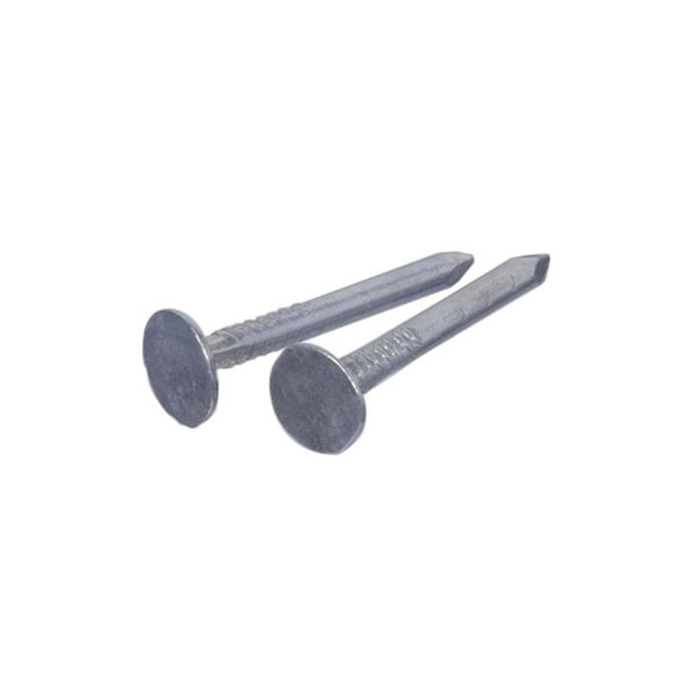 1.25 In. Galvanized Roofing Nails - Pack Of 75 746591452827