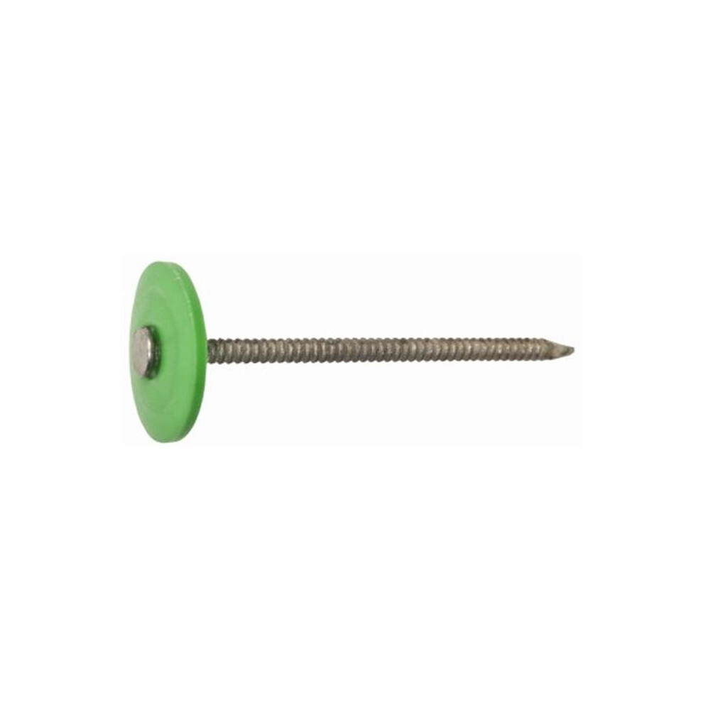 461503 Galvanized Plastic Cap Roofing Nails - 3 In. 654204693744