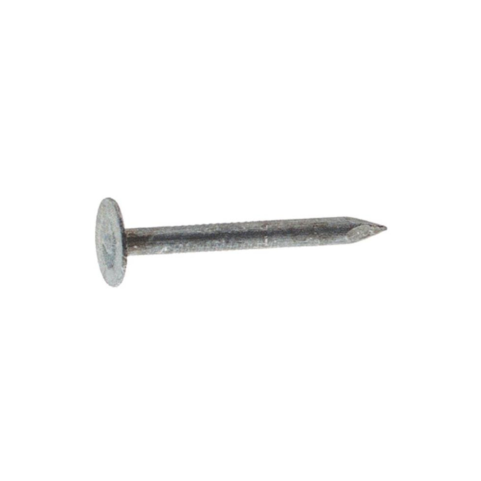 461609 2.5 In. Galvanized Roofing Nail 723902271506