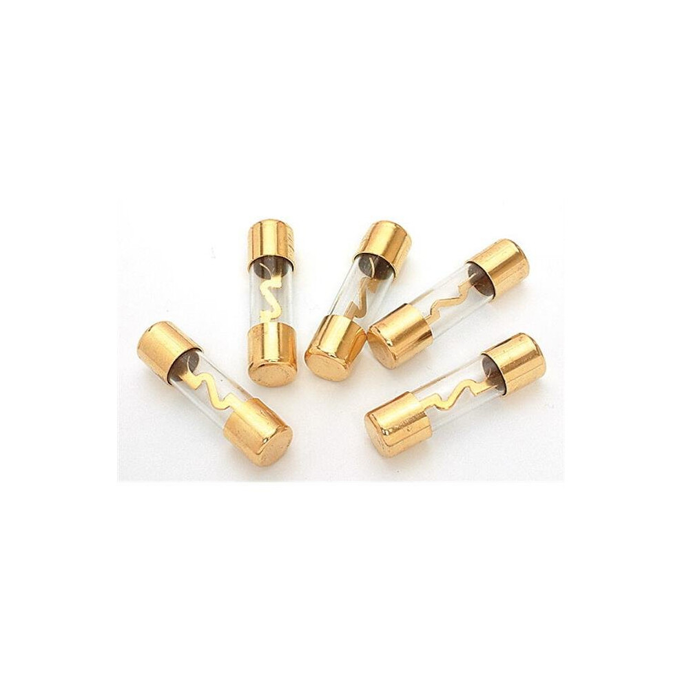 100 Amp Agu Fuses - 5 Per Pack 753153465607