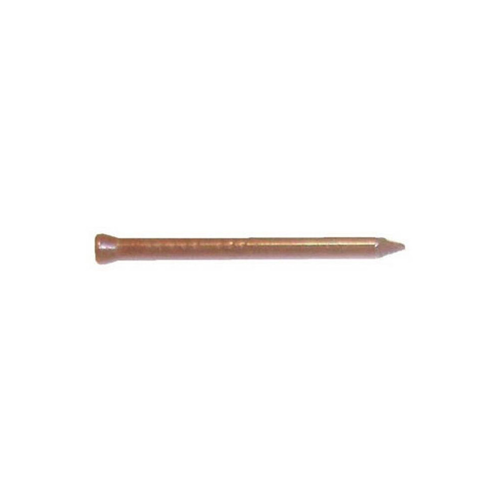 HT200-1 2 in. Slim Diameter Hardwood Trim Nails