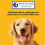 Pedigree Pedigree Biscrok Gravy Bones Biscuits Dog Treats 10kg 3