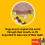 Pedigree PEDIGREE DentaStix Medium Dog Dental Chews 56 Stick 3