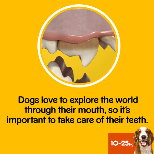 Pedigree PEDIGREE DentaStix Medium Dog Dental Chews 56 Stick 2