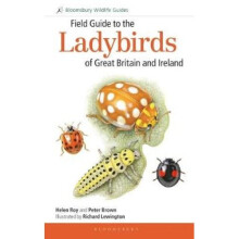 Field Guide to the Ladybirds of Great Britain and Ireland