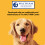 Pedigree Pedigree Tasty Bites Dog Treats Cheesy Nibbles With Cheese & Beef 8x140g 4