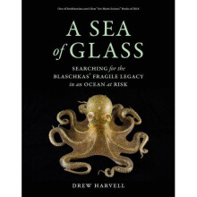 A Sea of Glass