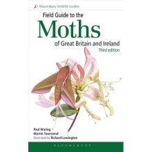 Field Guide to the Moths of Great Britain and Ireland