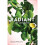 Radiant 1