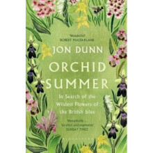 Orchid Summer