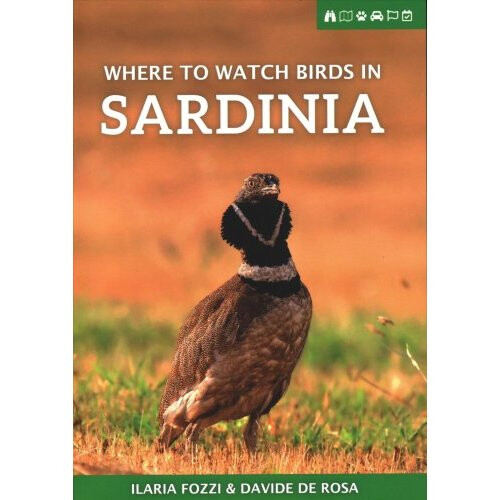 Where to Watch Birds in Sardinia