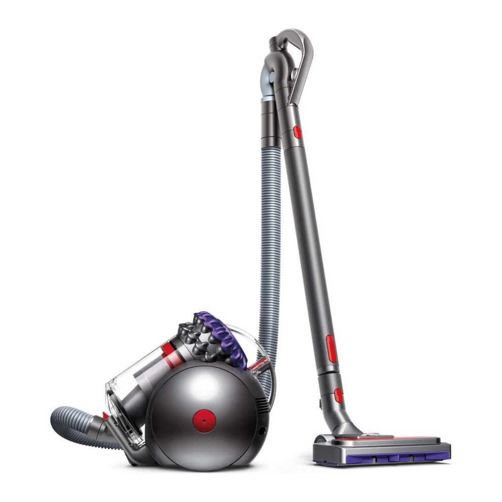 DYSON Big Ball Animal 2 Cylinder Bagless Vacuum Cleaner - Iron & Purple, Purple