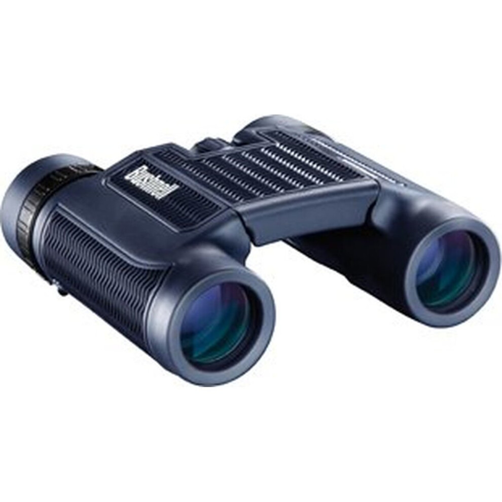 BUSHNELL BN130105 10 x 25 mm Binoculars - Graphite, Graphite