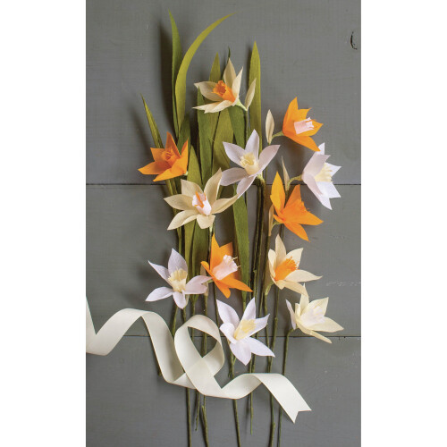 Crepe Paper Flower Kit -Daffodil