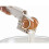 Kabalo 2-in-1 Handheld Egg Cracker & Yolk/White Separator - Easy Egg Prep Gadget B-XKW024 1