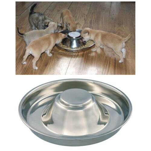 Stainless Steel Puppy & Kitten Feeding Dishes - 2 Pack, 11.8