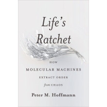 Life's Ratchet: How Molecular Machines Extract Order from Chaos