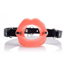 Sissy Mouth Gag  BDSM Whips and Ball Gags - Master Series
