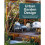 Urban Garden Design 1