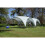 Coleman Coleman Event Shelter 4.5 x 4.5m 3