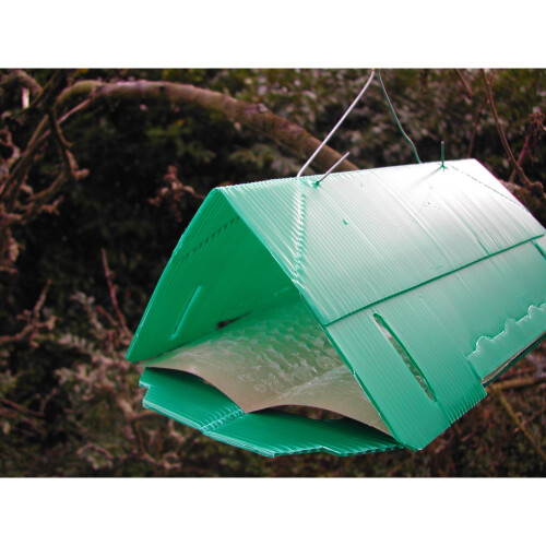 Plum Fruit Moth Trap Refill 1