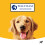 Pedigree PEDIGREE Voksenfoder med kød og grøntsager 100g x 80 10