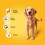 Pedigree PEDIGREE Voksenfoder med kød og grøntsager 100g x 80 8