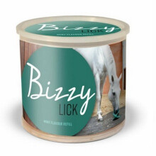 (One Size, Mint) Bizzy Bites Horse Lick Toy Refill