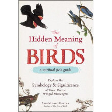 The Hidden Meaning of Birds--A Spiritual Field Guide