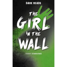 The Girl in the Wall (Dark Reads)