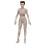 Diamond Select Diamond Select Toys Ghostbusters Gozer Figur 1