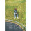 Child, The 1