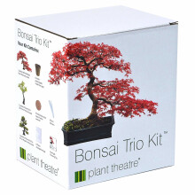 Plant Theatre Bonsai Trio Kit | 3 Distinctive Bonsai Trees to Grow