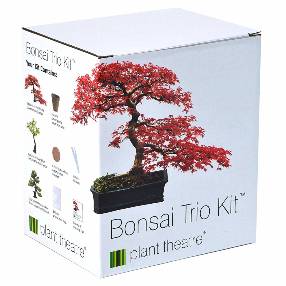 Plant Theatre Bonsai Trio Kit | 3 Distinctive Bonsai Trees to Grow