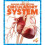 Circulatory System 1