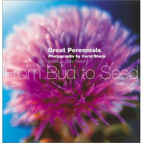 From Bud to Seed: Ten Great Perennials