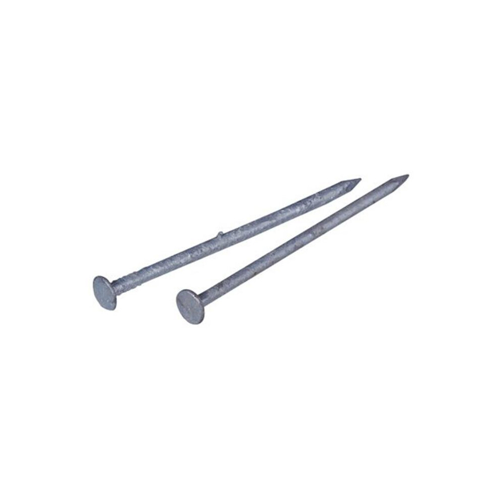 461582 3.5 In. 16D Galvanized Common Nail. 50 Lbs. 654204707625