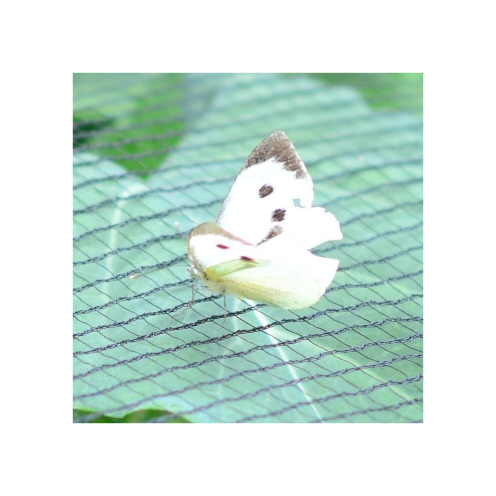 (Black, 3m x 6m) Butterfly Netting Mesh for Brassicas Black/Green