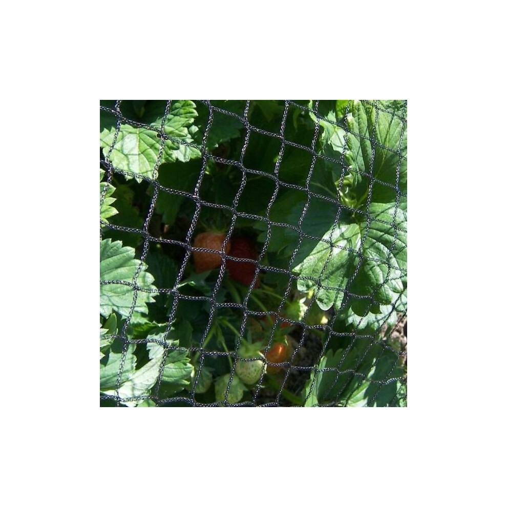 (8m x 10m) Anti Bird Netting Fruit Cage Net