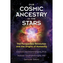 Our Cosmic Ancestry in the Stars