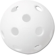 Plastic Training Ball 12 Inch Softball