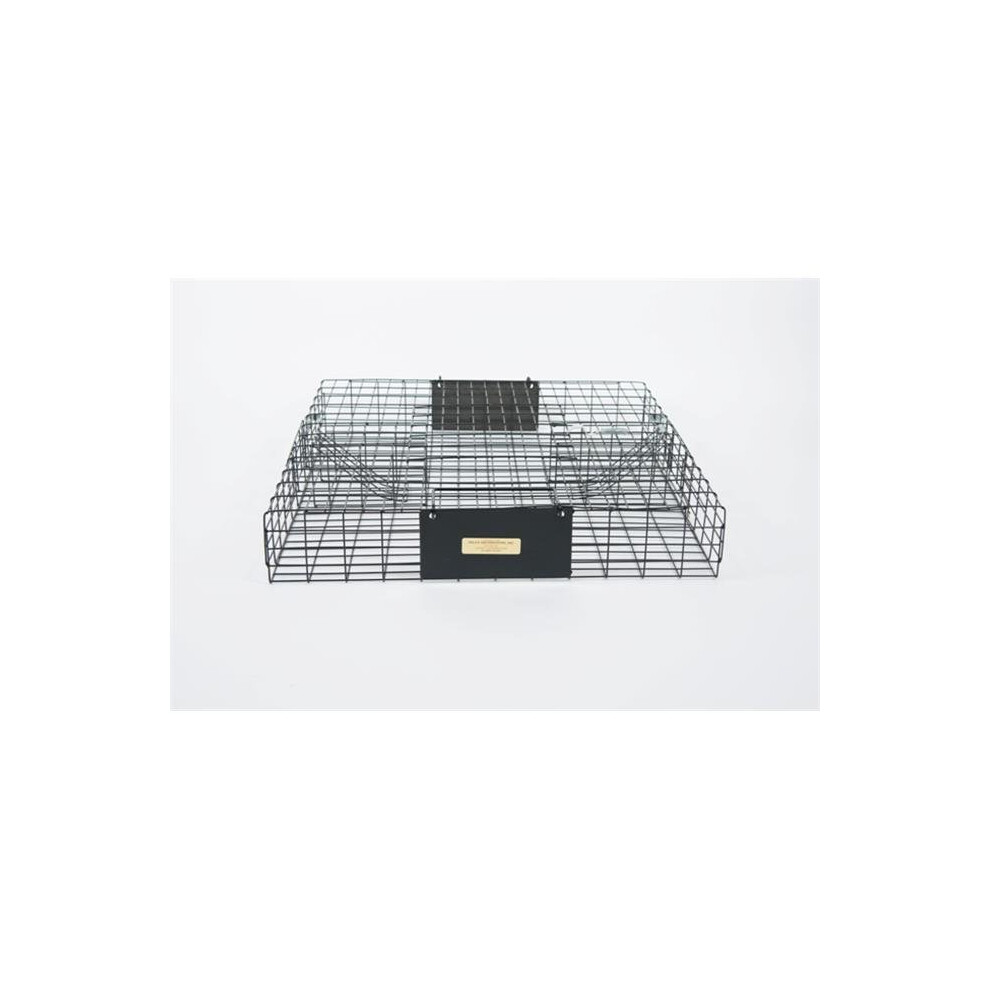 Ground Squirrel Trap