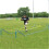 Replacement Grid for 1201987 Football Training 1