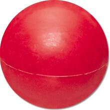 Port A Pit 12 lbs Indoor Shot Put 5.44 kg
