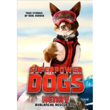 Superpower Dogs: Henry