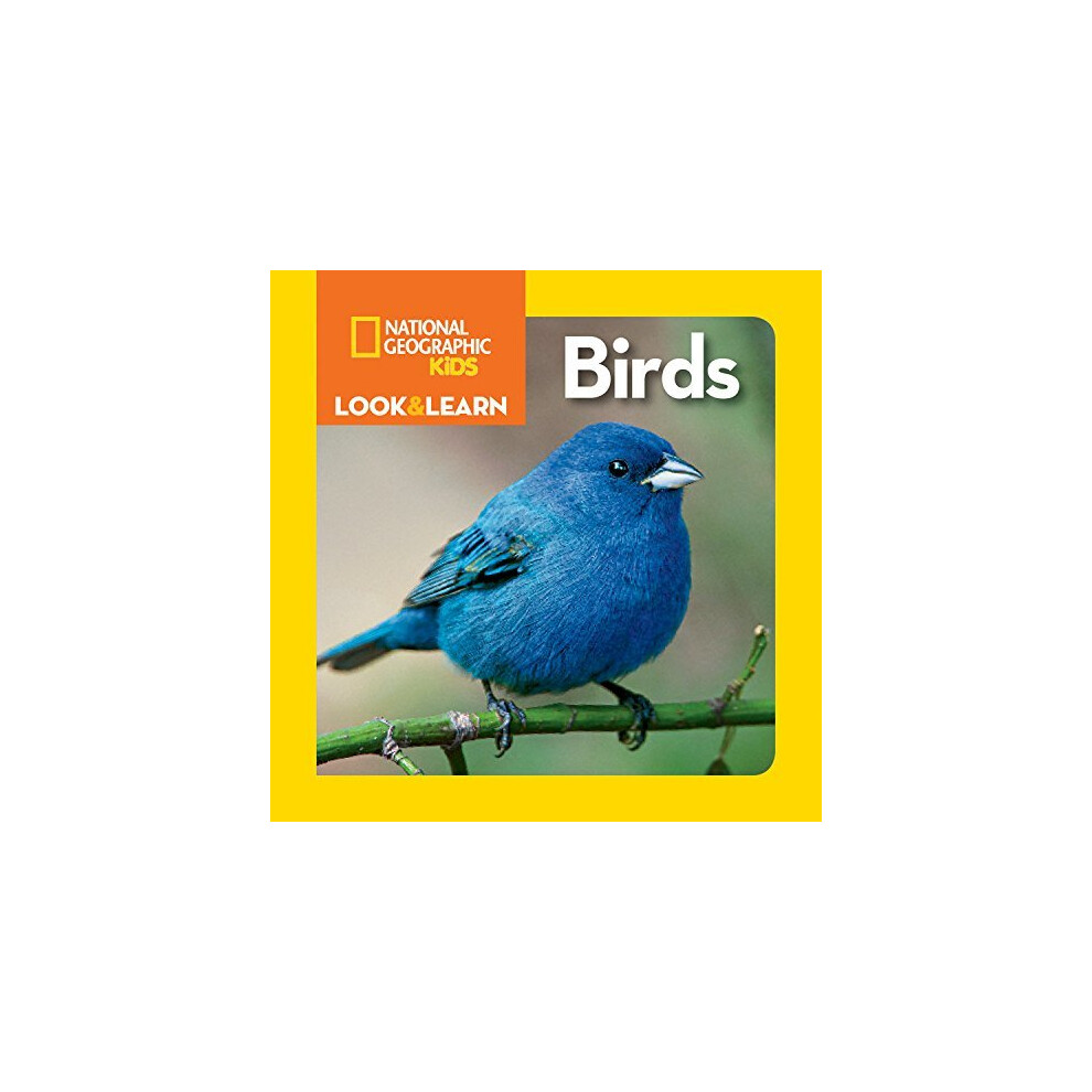 Look and Learn: Birds (Look&Learn)