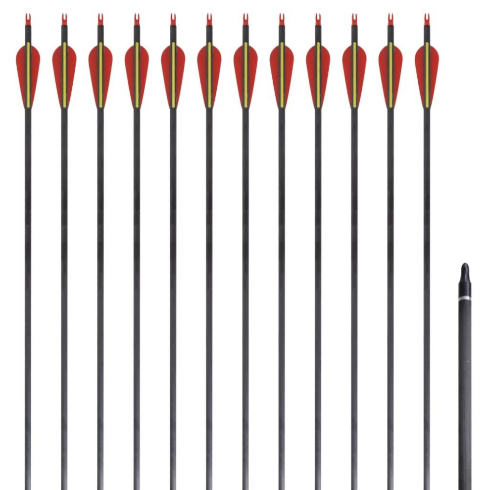 vidaXL 12x Standard Recurve Bow Arrows 30" 0.76cm Carbon Bolt Target Shooting