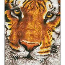 Bengalische Magie